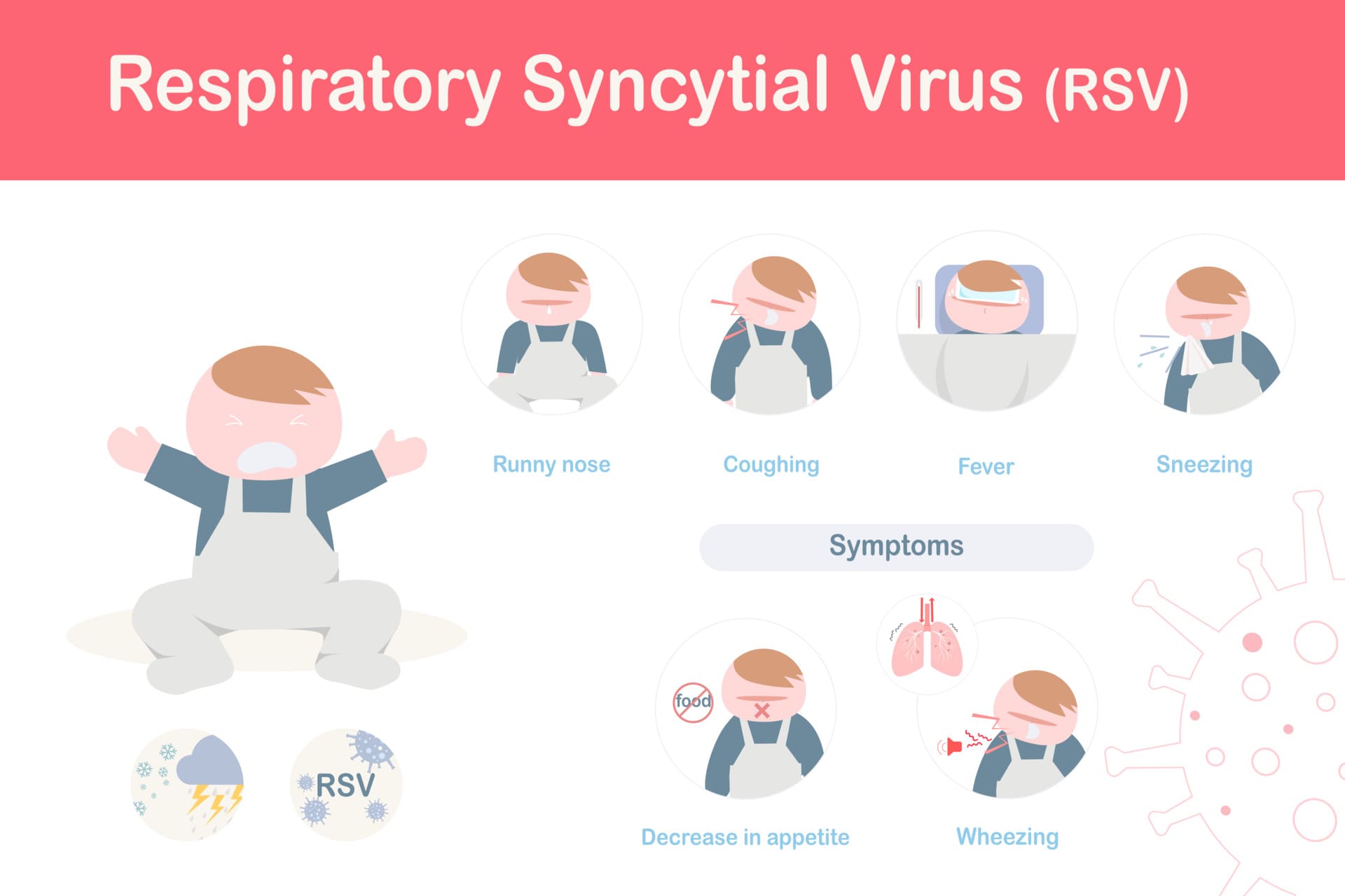 vecteezy_infographic-of-respiratory-syncytial-virus-symptoms_14300800.jpg